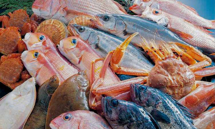 庄内観光物産館イメージ02