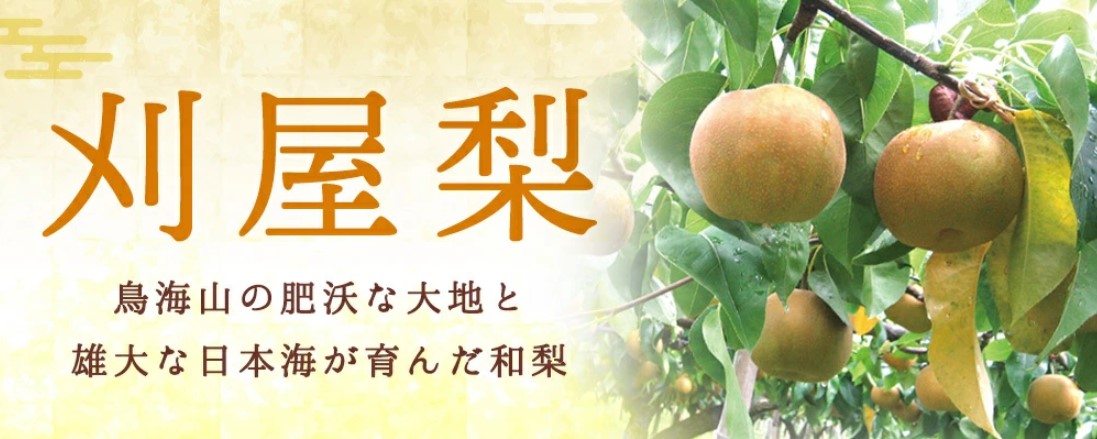 刈屋梨