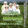朝採りだだちゃ豆/1kg