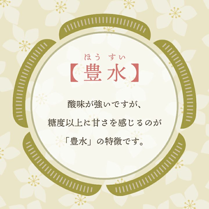 刈屋梨「豊水/3kg・6～9玉入（化粧箱入）」 【2024年予約販売開始】 山形県庄内酒田市刈屋(かりや)産 和梨 豊水 3kg 6~9玉 9月中旬～9月下旬発送 お取り寄せ