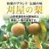 刈屋梨「豊水/3kg・6～9玉入（化粧箱入）」 【2024年予約販売開始】 山形県庄内酒田市刈屋(かりや)産 和梨 豊水 3kg 6~9玉 9月中旬～9月下旬発送 お取り寄せ