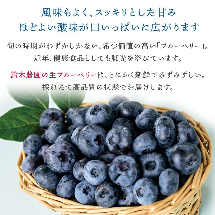 生ブルーベリー 約1kg/山形県羽黒産　無農薬・有機栽培 一部送料無料 月山高原 庄内 鶴岡 土産 御中元 お中元 お取り寄せ 特産品 グルメ 鈴木農園　発送期間：7月上旬頃～7月下旬頃