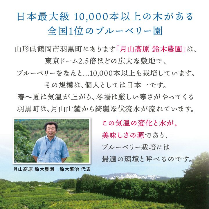 生ブルーベリー 約1kg/山形県羽黒産　無農薬・有機栽培 一部送料無料 月山高原 庄内 鶴岡 土産 御中元 お中元 お取り寄せ 特産品 グルメ 鈴木農園　発送期間：7月上旬頃～7月下旬頃