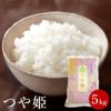 特別栽培米 「つや姫」山形県庄内産 令和6年(2024) 白米 5kg