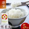 「雪若丸」山形県庄内産 令和6年(2024) 白米 5kg