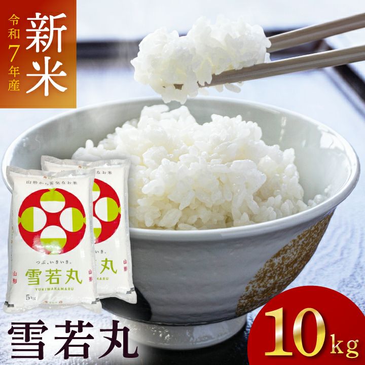 「雪若丸」山形県庄内産 令和6年(2024) 白米 5kg×2袋