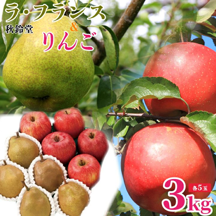 フルーツセット 山形県天童市産 ラ・フランス 5個＆ふじりんご 5個 12月上旬～12月中旬発送