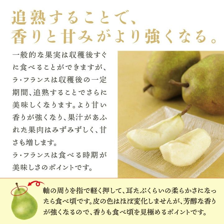 フルーツセット 山形県天童市産 ラ・フランス 5個＆ふじりんご 5個 12月上旬～12月中旬発送