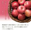 フルーツセット 山形県天童市産 ラ・フランス 5個＆ふじりんご 5個 12月上旬～12月中旬発送