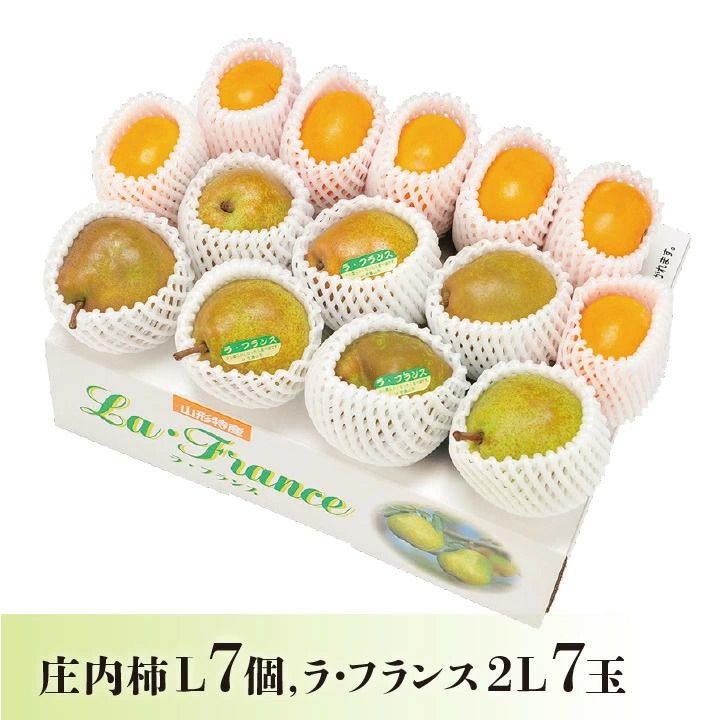 鶴岡産 庄内柿 7個 & 山形県産 ラ・フランス 2L 7個 【R6年度  予約受付中】フルーツセット 山形県 発送時期：11月上旬～11月下旬発送