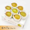 ラ・フランス 山形県天童市産 西洋梨 2L 6～7個 2kg 11月上旬～12月中旬発送