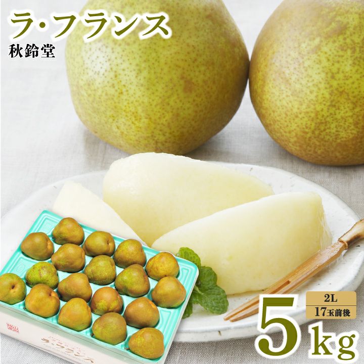 ラ・フランス 山形県天童市産 西洋梨 2L 16～18個 5kg 11月上旬～12月中旬発送