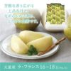 ラ・フランス 山形県天童市産 西洋梨 2L 16～18個 5kg 11月上旬～12月中旬発送