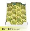 ラ・フランス 山形県天童市産 西洋梨 2L 16～18個 5kg 11月上旬～12月中旬発送