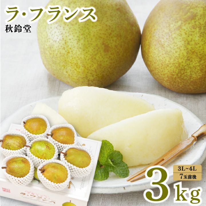 ラ・フランス 山形県天童市産 西洋梨 3L～４L 7～8個 3kg 11月上旬～12月中旬発送
