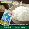 「はえぬき」山形県庄内産 令和6年(2024) 白米 10kg