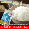 産地厳選「はえぬき」山形県庄内産 令和6年(2024) 白米 5kg