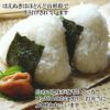 産地厳選「はえぬき」山形県庄内産 令和6年(2024) 白米 5kg