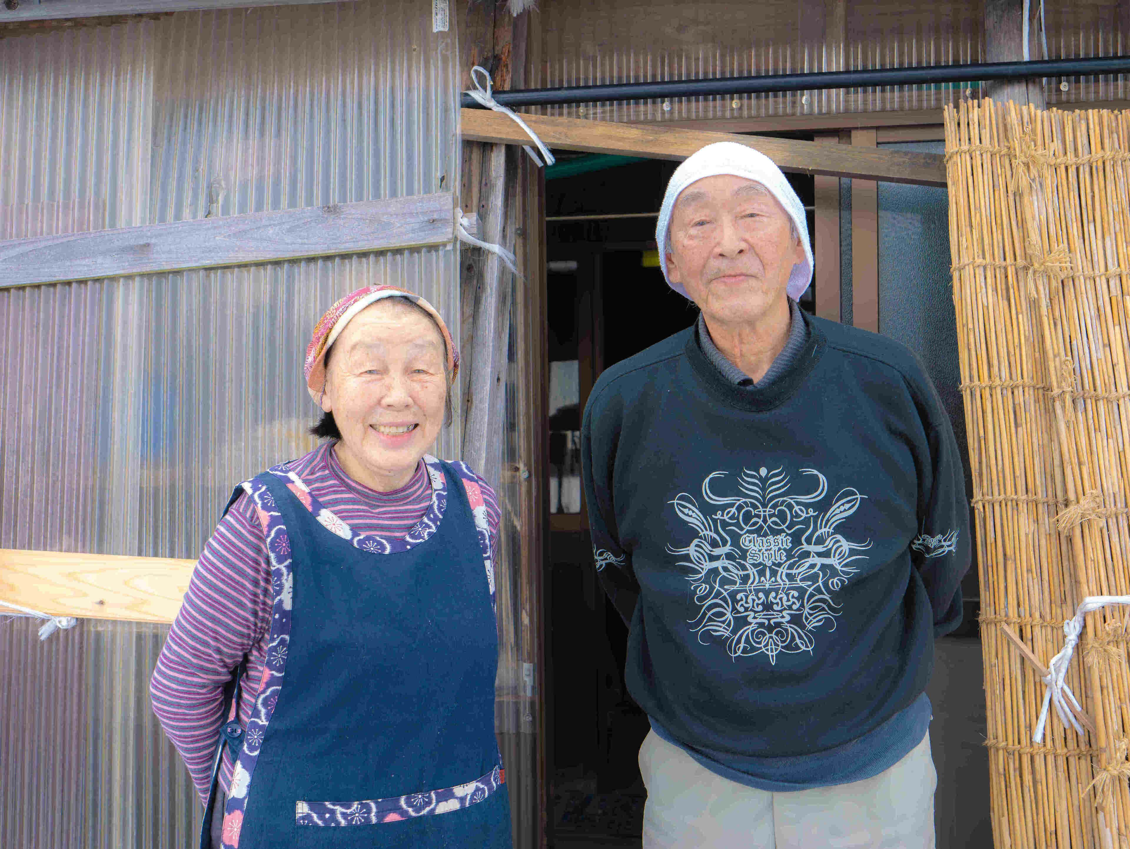 「温海川笹巻・黄色」(山形県庄内地方)5個入り(5個×1パック)/黒蜜・青きな粉付 笹巻き こぶし巻 山形 庄内 鶴岡 お土産  生菓子 お取り寄せ 特産品 グルメ 発送期間：2月下旬頃～5月下旬