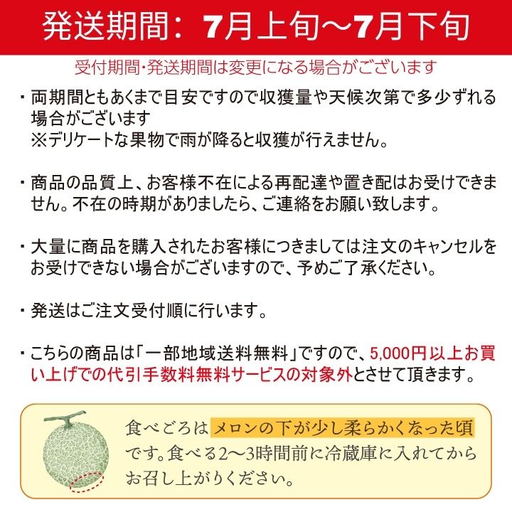 庄内砂丘メロン【青玉＆赤玉/約1.2kg･各1玉/化粧箱】山形  フルーツ  御中元 ギフト  発送期間：6月下旬～7月下旬　※青玉の品種はアンデス・鶴姫メロンいずれか、赤玉は鶴姫レッドメロン　一部送料無料