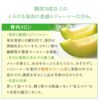 庄内砂丘アンデスメロン