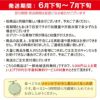 庄内砂丘メロン【青玉/約1.2kg･2玉/化粧箱】山形 土産 フルーツ 御中元 お中元  発送期間：6月下旬～7月下旬　※青玉の品種はアンデス・鶴姫メロンいずれか　 一部送料無料