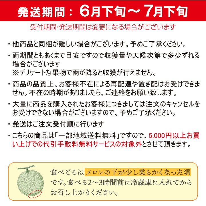 庄内砂丘メロン【青玉/約1.2kg･2玉/化粧箱】山形 土産 フルーツ 御中元 お中元  発送期間：6月下旬～7月下旬　※青玉の品種はアンデス・鶴姫メロンいずれか　 一部送料無料