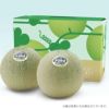 庄内砂丘メロン【青玉/約1.2kg･2玉/化粧箱】山形 土産 フルーツ 御中元 お中元  発送期間：6月下旬～7月下旬　※青玉の品種はアンデス・鶴姫メロンいずれか　 一部送料無料
