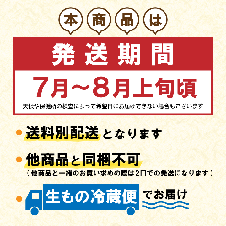 【2025年予約販売商品！】天然岩ガキ「中/10個入」（2025年7月～8月上旬発送予定）山形県　菅原鮮魚　庄内産　中サイズ　牡蠣　カキ　生食用　お取り寄せ　一部送料無料