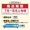 佐藤錦2kgバラ