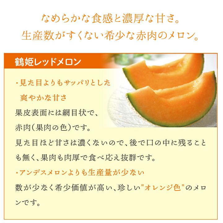 庄内砂丘 メロン【鶴姫レッド】　秀品3L・2玉(化粧箱)/山形 赤肉 土産 フルーツ 御中元 お中元 ギフト 贈答用 お取り寄せ 特産品 グルメ 発送期間：6月下旬頃～7月下旬頃 一部送料無料