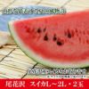尾花沢スイカ L～2L×2玉 一部送料無料 山形県尾花沢市 高級フルーツ 西瓜 贈答用 土産 お中元 暑中見舞い 発送期間：7月下旬～8月中旬