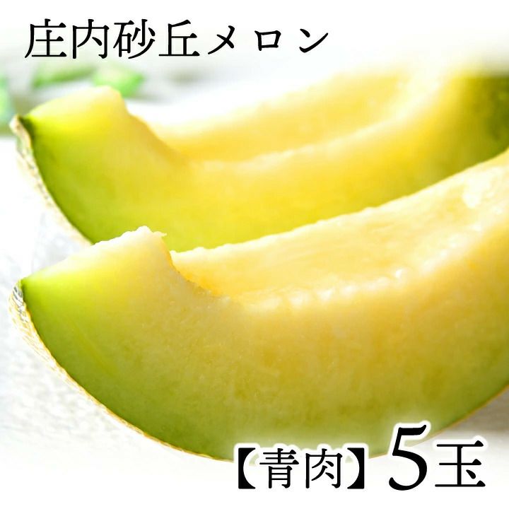  【2025年予約販売開始】波の会　庄内砂丘メロン【青肉/秀品2L・5玉】 山形 土産 フルーツ 御中元  ギフト 贈答用 発送期間：6月下旬頃～8月中旬頃※品種はパンナ・キスロマン・アンデス・グレイスのいずれかです。 一部送料無料