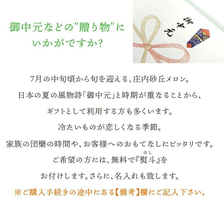  【2025年予約販売開始】波の会　庄内砂丘メロン【青肉/秀品2L・5玉】 山形 土産 フルーツ 御中元  ギフト 贈答用 発送期間：6月下旬頃～8月中旬頃※品種はパンナ・キスロマン・アンデス・グレイスのいずれかです。 一部送料無料