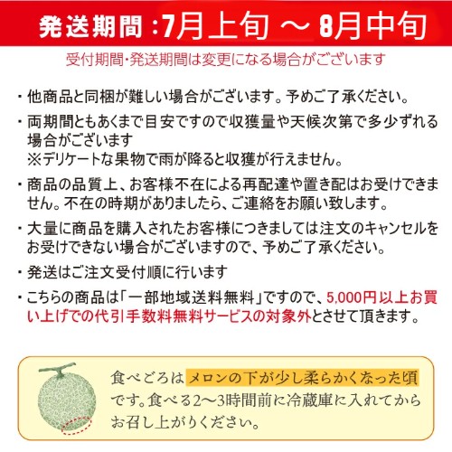  【2025年予約販売開始】波の会　庄内砂丘メロン【青肉/秀品2L・5玉】 山形 土産 フルーツ 御中元  ギフト 贈答用 発送期間：6月下旬頃～8月中旬頃※品種はパンナ・キスロマン・アンデス・グレイスのいずれかです。 一部送料無料