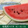 尾花沢スイカ