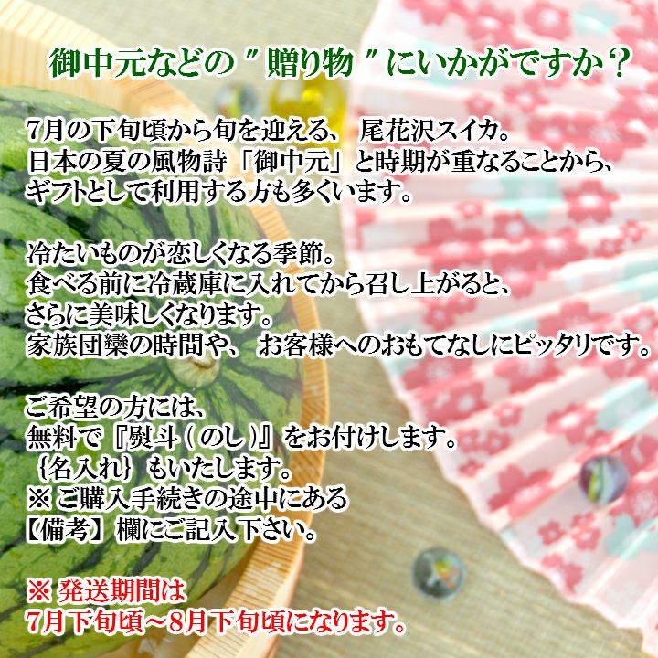 一部送料無料尾花沢スイカ5L・1玉山形県尾花沢市フルーツすいか西瓜夏ギフト贈答用山形土産お御中元お中元お取り寄せ特産品グルメ発送期間：7月下旬頃～8月下旬頃