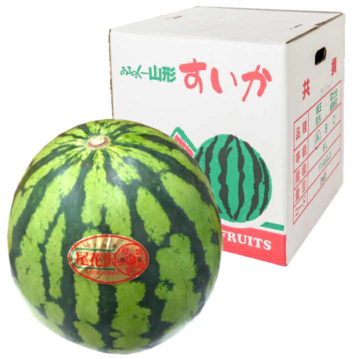 一部送料無料尾花沢スイカ5L1玉山形県尾花沢市フルーツすいか西瓜夏ギフト贈答用山形土産御中元お中元お取り寄せ特産品グルメ発送期間：7月下旬～8月中旬