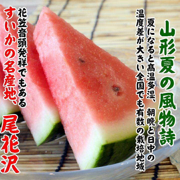 一部送料無料尾花沢スイカ5L1玉山形県尾花沢市フルーツすいか西瓜夏ギフト贈答用山形土産御中元お中元お取り寄せ特産品グルメ発送期間：7月下旬～8月中旬