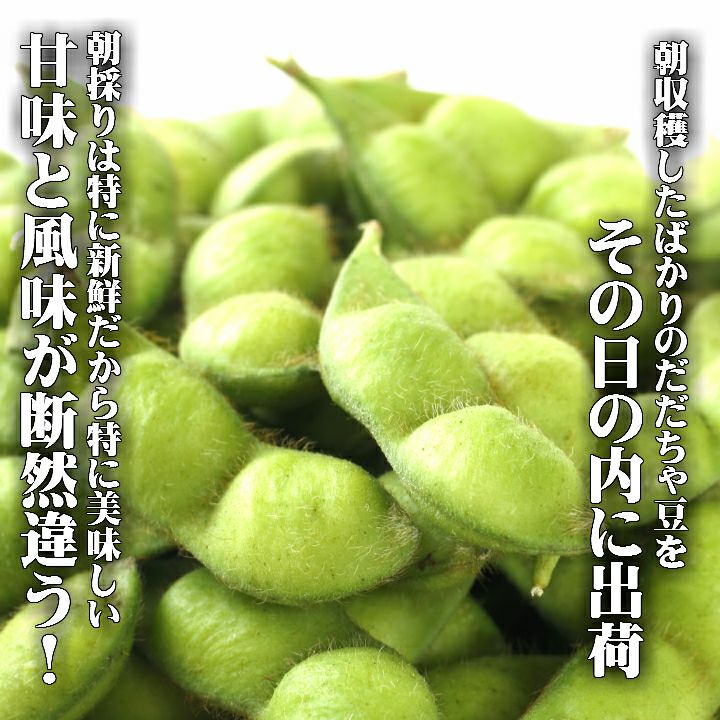 【7～9月販売予定】山形県鶴岡市特産枝豆 朝採りだだちゃ豆1kgと小なす丸漬セット