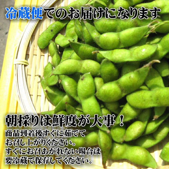 【7～9月販売予定】山形県鶴岡市特産枝豆 朝採りだだちゃ豆1kgと小なす丸漬セット