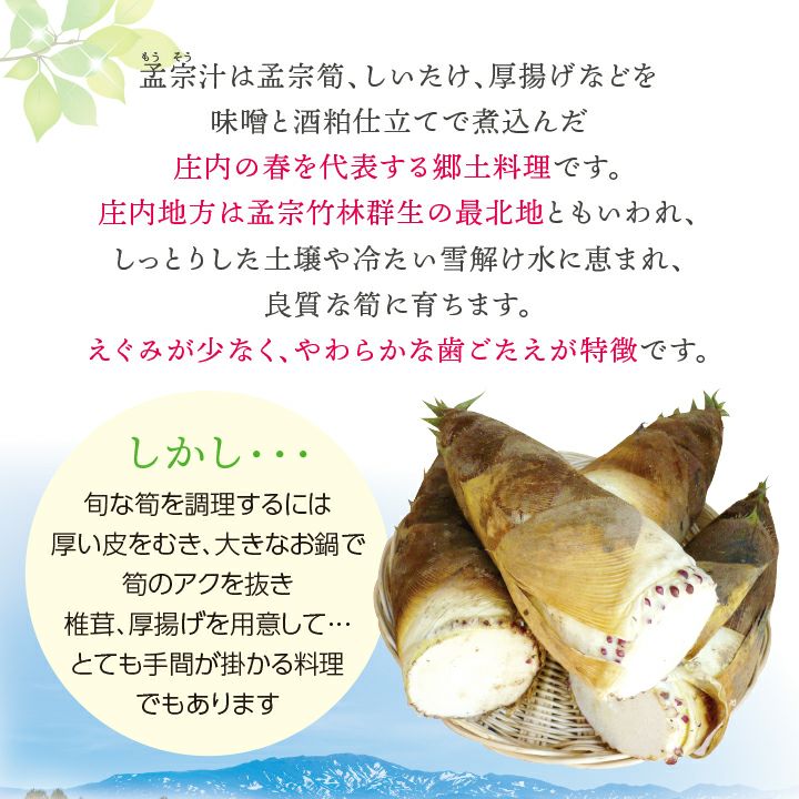 【5月上旬～5月下旬発送予定】 庄内 孟宗汁セット【3～4人前】一部送料無料 レシピ付 鶴岡 孟宗汁 郷土料理 グルメ お取り寄せ 特産品 名産品 冷蔵