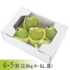 ラ・フランス 山形県天童市産 西洋梨 大玉 4L～5L 4～5個 2kg 11月上旬～12月中旬発送