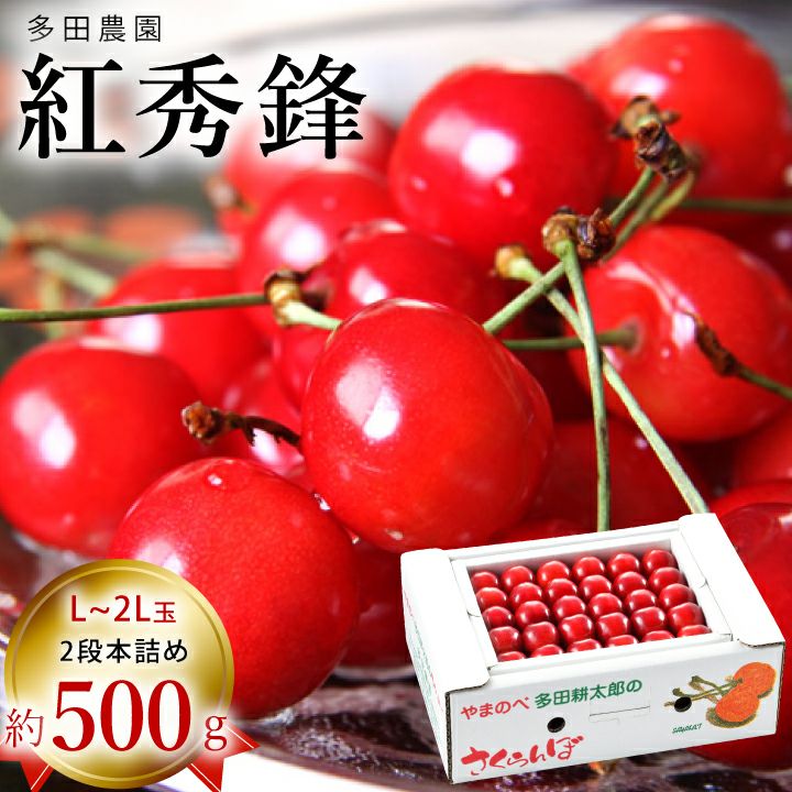 多田佐藤錦500g本詰