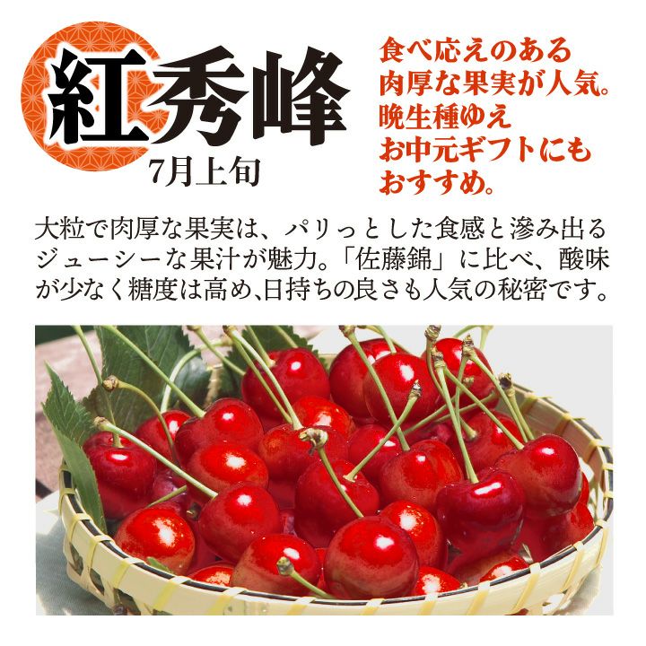 【予約販売限定】多田農園「紅秀峰（約500g/本詰め）」(露地栽培)　【2025年7月上旬～発送予定】　山形県山辺産　さくらんぼ　L～2L玉本詰め　7月上旬発送　産地直送　お中元　ギフト　一部送料無料
