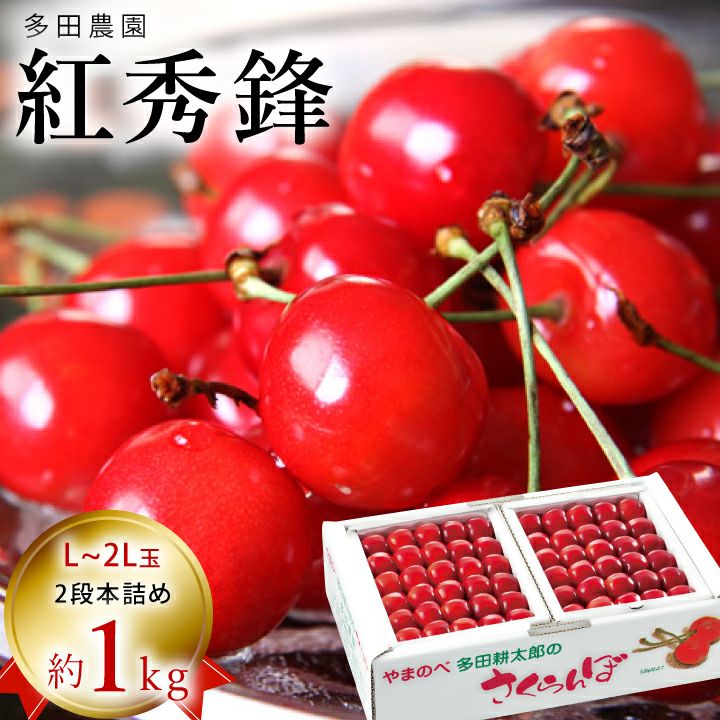 【予約販売限定】多田農園「紅秀峰（約1kg/本詰め）」(露地栽培)　【2025年7月上旬&#12316;発送予定】　山形県山辺産　さくらんぼ　L~2L玉本詰め　7月上旬発送　産地直送　お中元　ギフト　一部送料無料