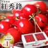 【予約販売限定】多田農園「紅秀峰（約1kg/本詰め）」(露地栽培)　【2025年7月上旬&#12316;発送予定】　山形県山辺産　さくらんぼ　L~2L玉本詰め　7月上旬発送　産地直送　お中元　ギフト　一部送料無料