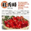 紅秀峰1kgバラ