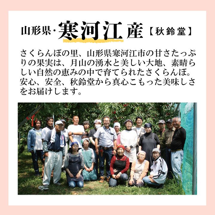 【予約販売限定】秋鈴堂「紅秀峰（500g/バラ詰め）」(露地栽培)　【2025年7月上旬～発送予定】　山形県寒河江産　さくらんぼ　2L玉バラ詰め　7月上旬発送　産地直送　お中元　ギフト　一部送料無料