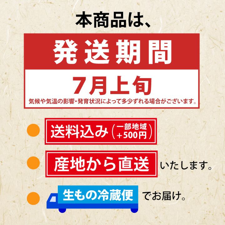 【予約販売限定】秋鈴堂「紅秀峰（500g/バラ詰め）」(露地栽培)　【2025年7月上旬～発送予定】　山形県寒河江産　さくらんぼ　2L玉バラ詰め　7月上旬発送　産地直送　お中元　ギフト　一部送料無料